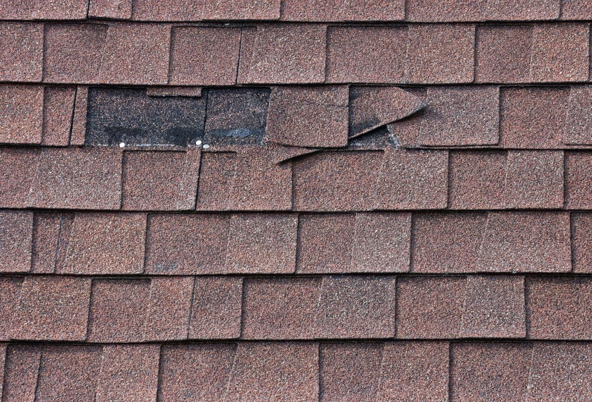 shingles missing on a roof after wind storm