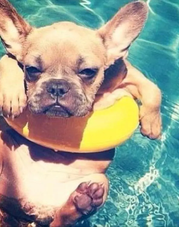 3 Summer Marketing Strategies You Need Right Now