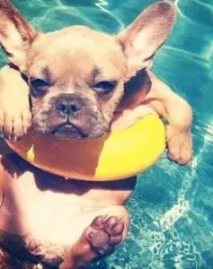 3 Summer Marketing Strategies You Need Right Now