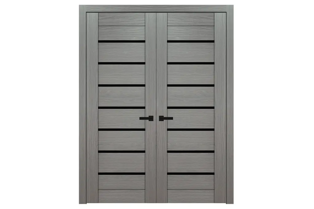 Domino 01 Wenge Modern Laminated Modern Interior Door - Double Door