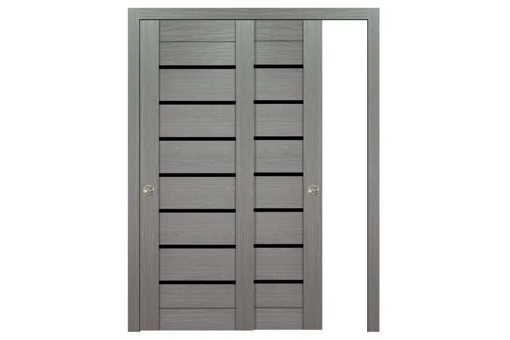 Domino 01 Wenge Modern Laminated Modern Interior Door - Bypass Door