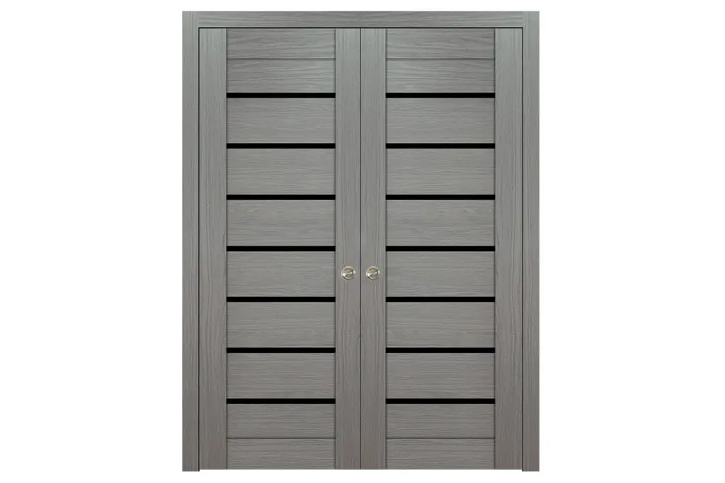 Domino 01 Wenge Modern Laminated Modern Interior Door - Double Pocket