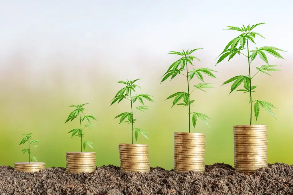 Cannabis Business Funding