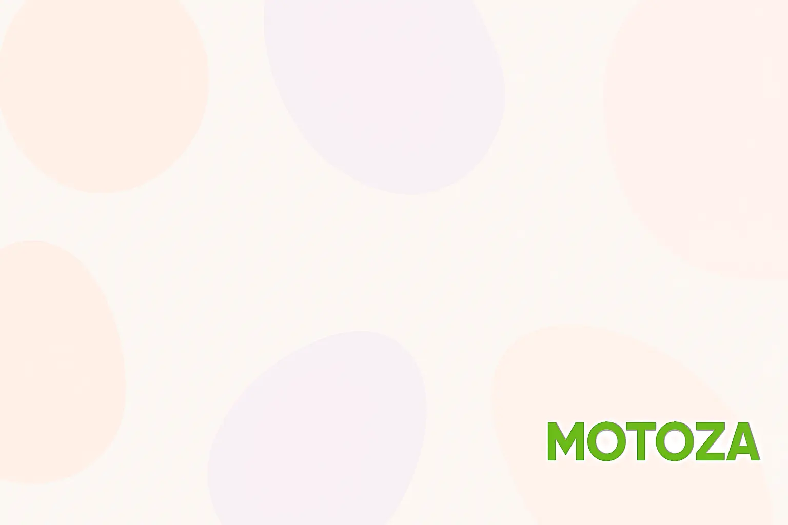 Motoza Insights