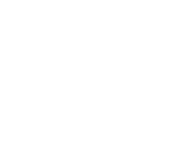 Expertise Best SEO Agency in Austin - Motoza