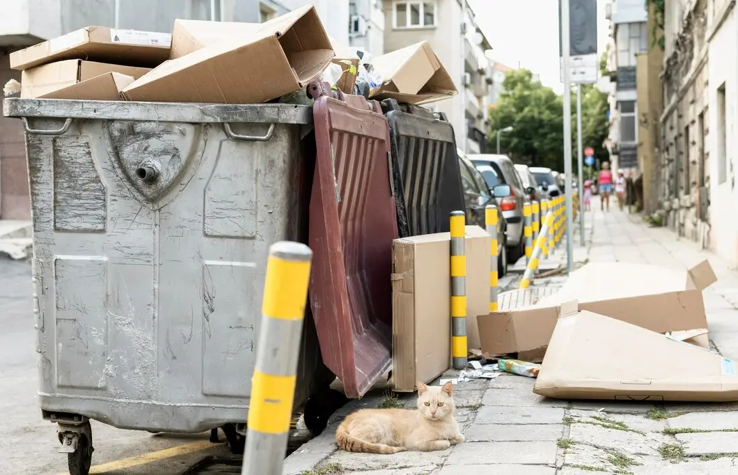 Cardboard waste piled around street bins highlighting professional dumpster services