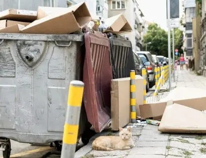 Cardboard waste piled around street bins highlighting professional dumpster services