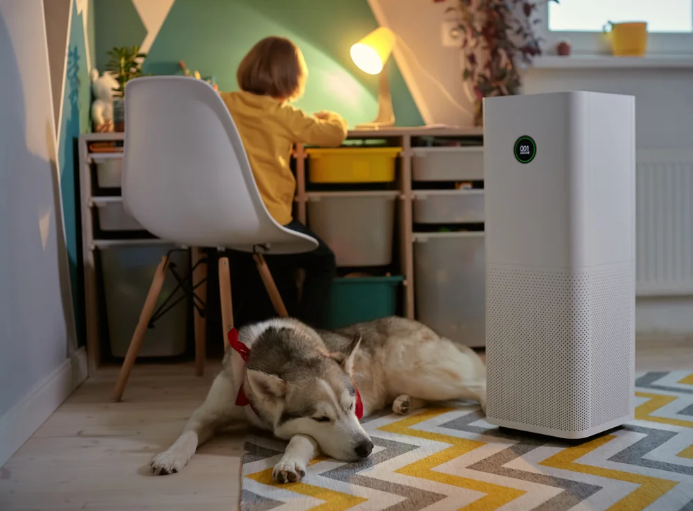 Air purifier next to a kid