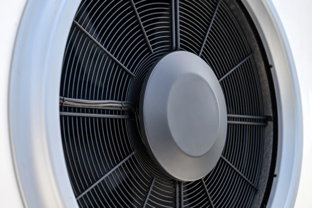 Fan close up