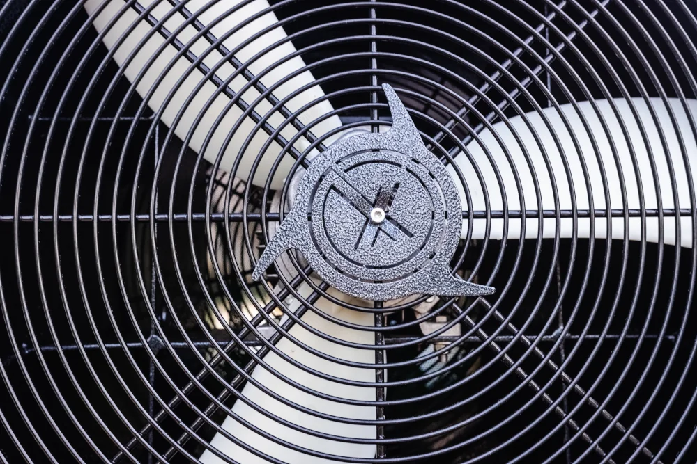 big fan