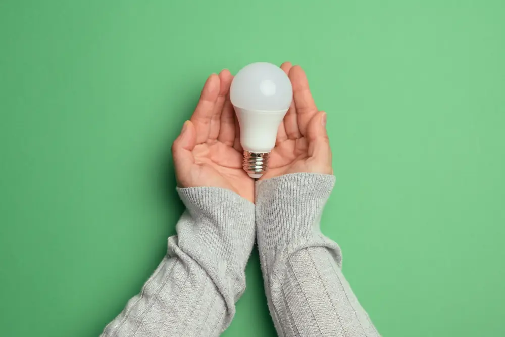 Power Your Career: Advancing in the Green Energy Field - Hands holding an LED bulb