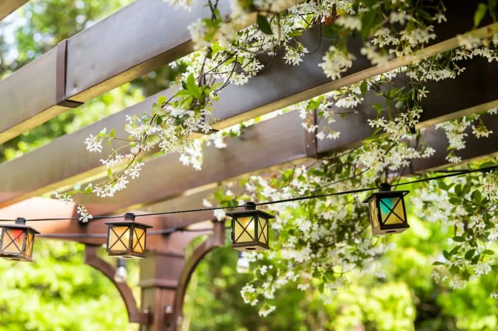 decorating a pergola
