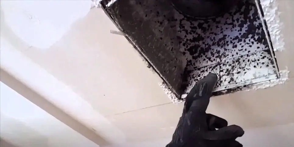 mold in duct
