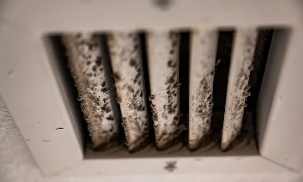 mold in air duct ventilation
