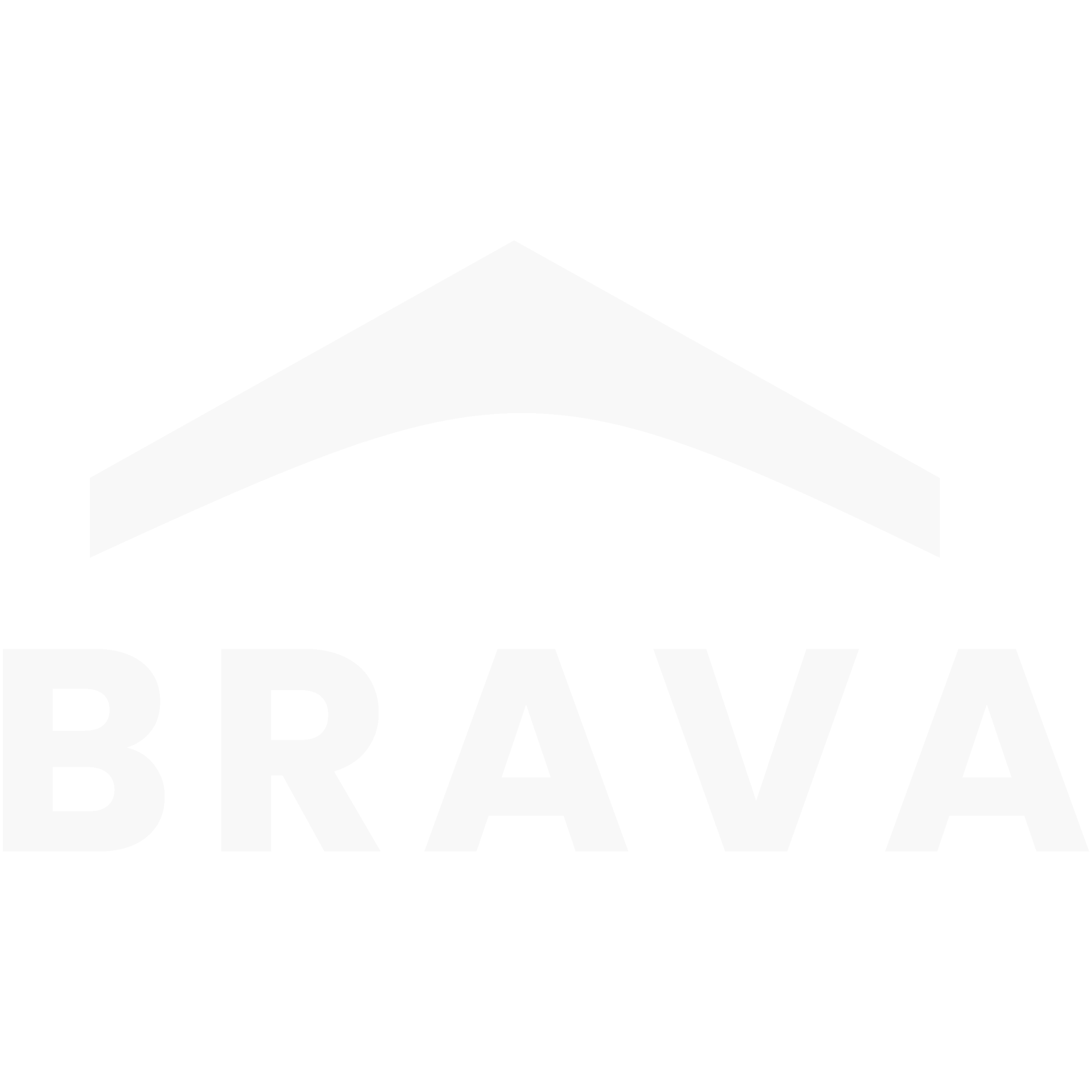 Brava Synthetic roofing logo - white