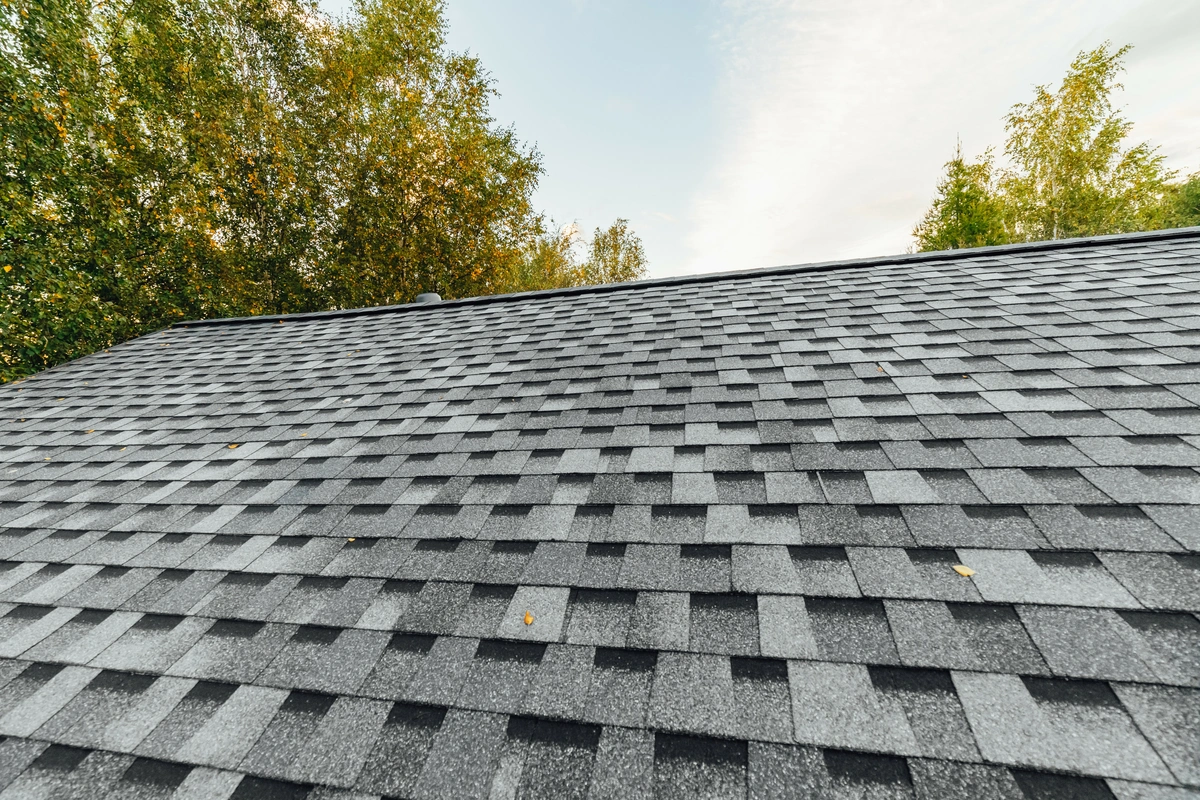 asphalt shingle roof