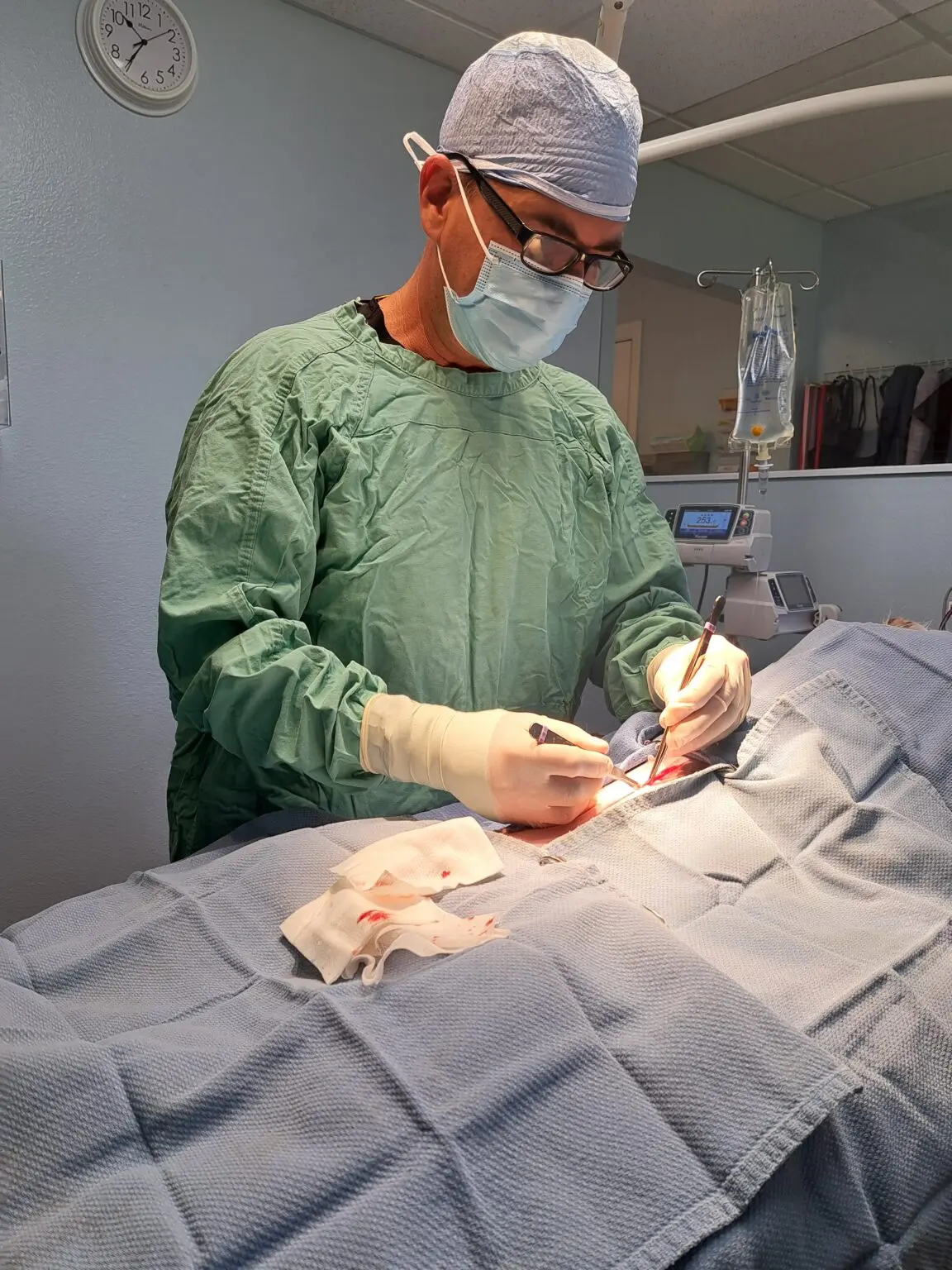 Dog Knee Surgery, Expert Dog Luxating Patella Surgery