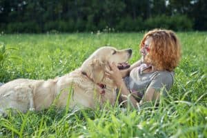 Senior Pet Diet