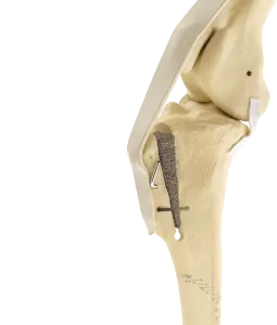 MMP - Modified Machet Procedure - Dr. Welton's prefered method for surgical repair of CCL tear in dogs over 40 pounds