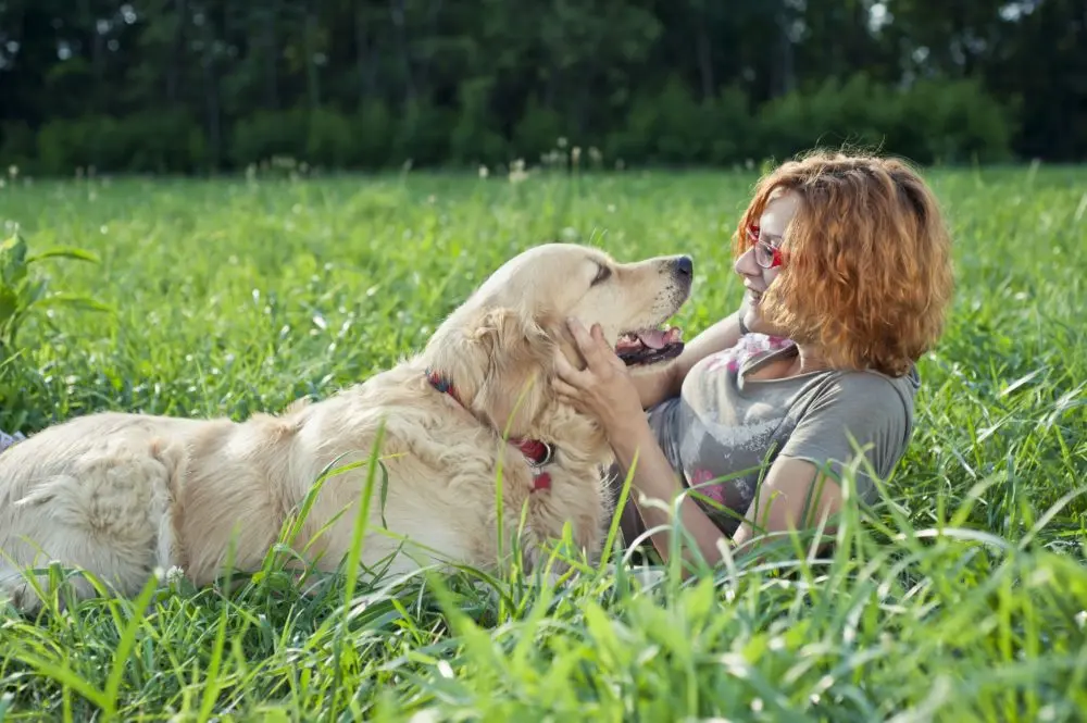 Senior Pet Diet