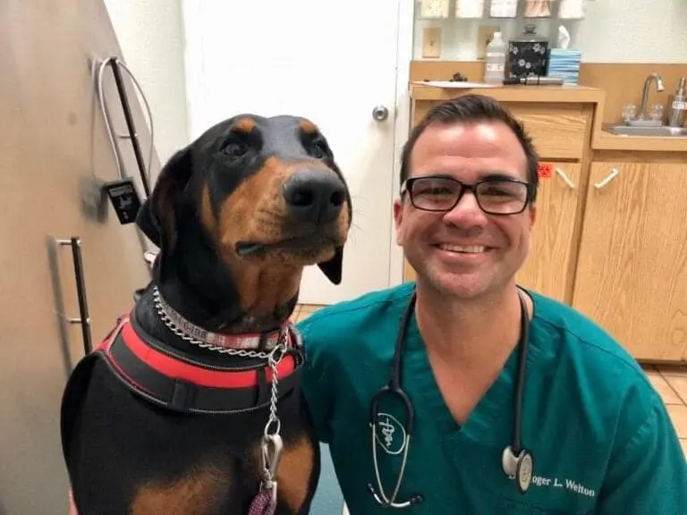 Premier Veterinary Care, Dr. Welton