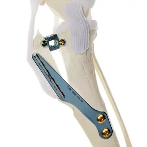 TTA surgical repair for CCL tears in dogs