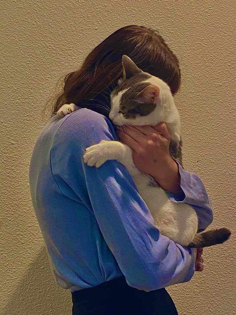 Protect your beloved pets with pet insurance and microchips