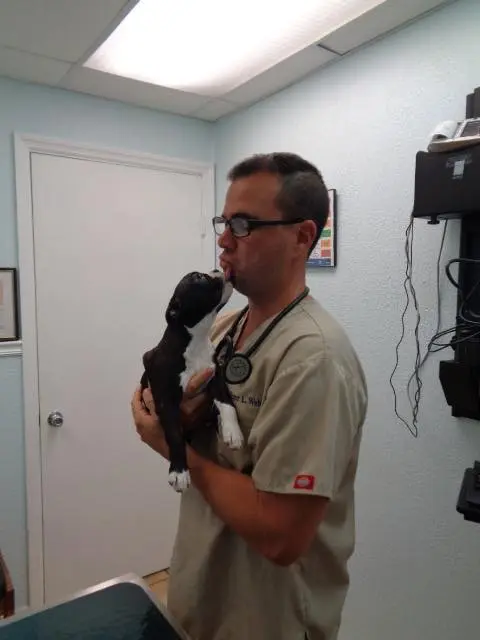 Premier Veterinary Care, puppy wellness