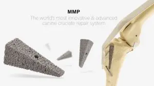 MMP surgery model in dogs
