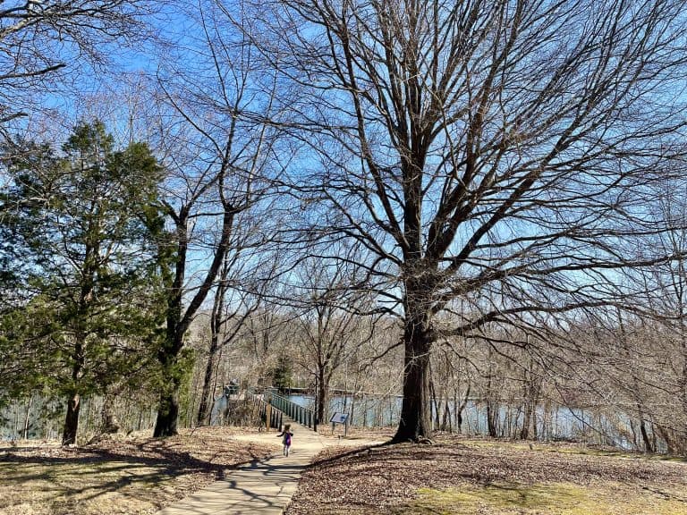 GO! SEE! EXPLORE! :: Lichterman Nature Center