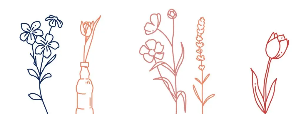 Bloom flowers