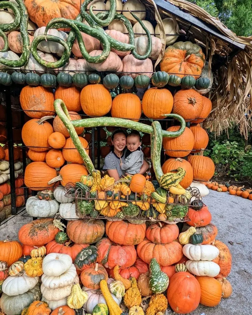 pumpkin house at The Dixon
