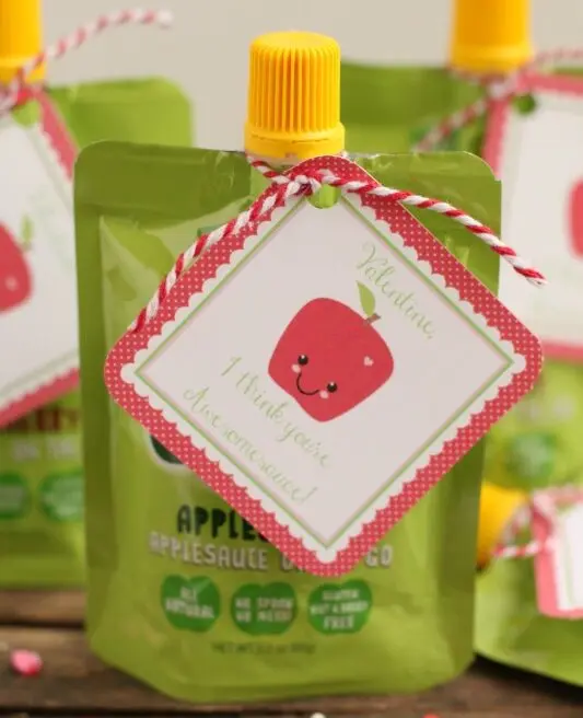 applesauce pouch idea