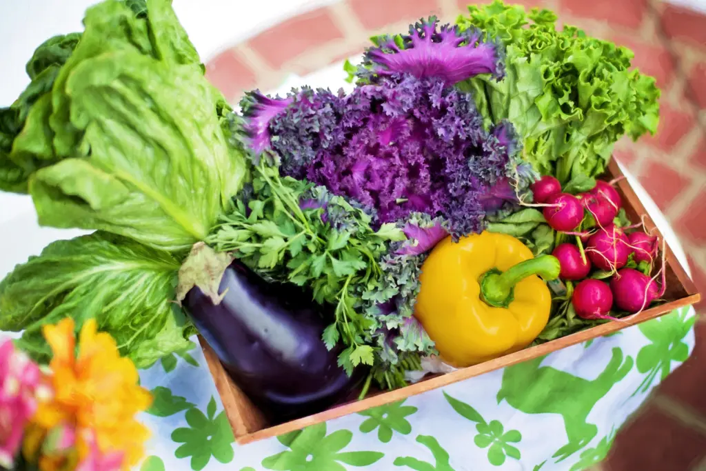 vegetables at the farmer's markets