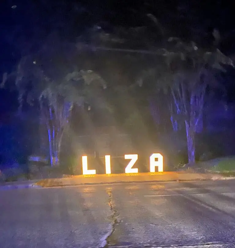Liza's run last year