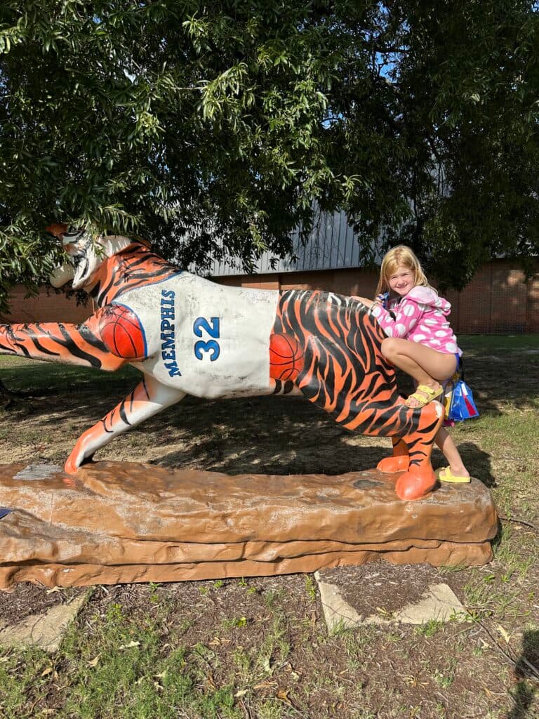 find the tigers for fall break