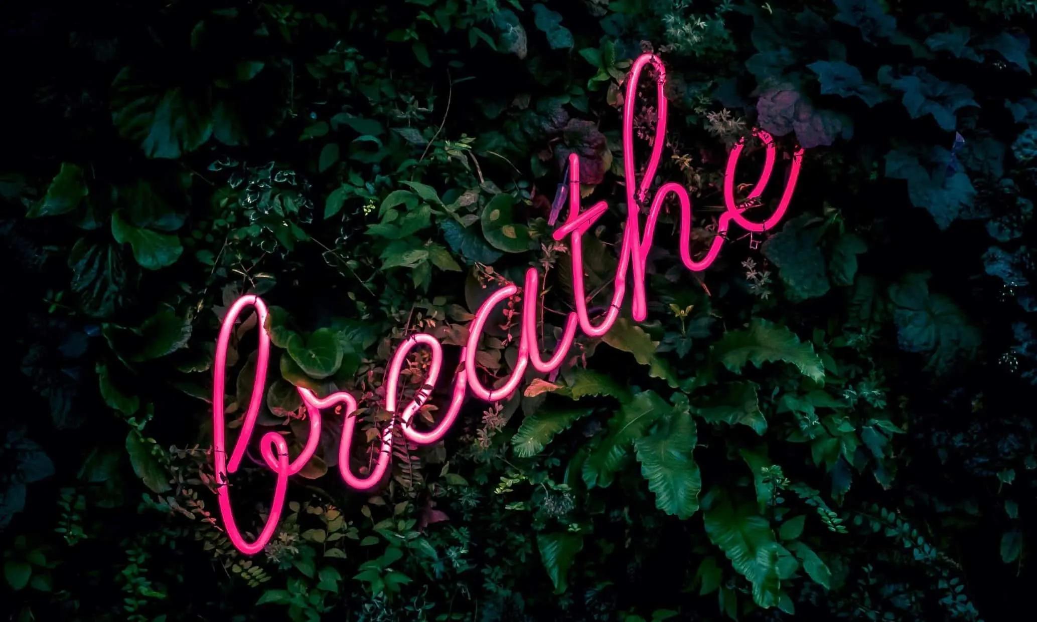 breathe
