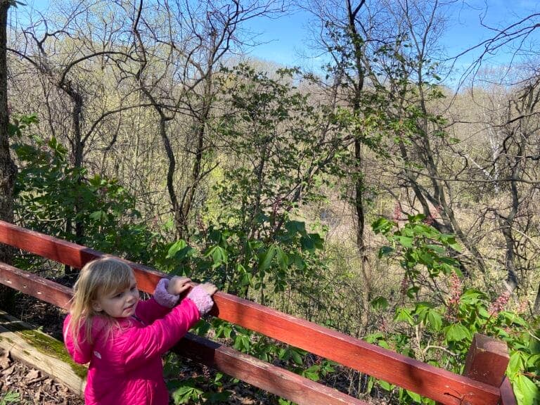 Nora in nature