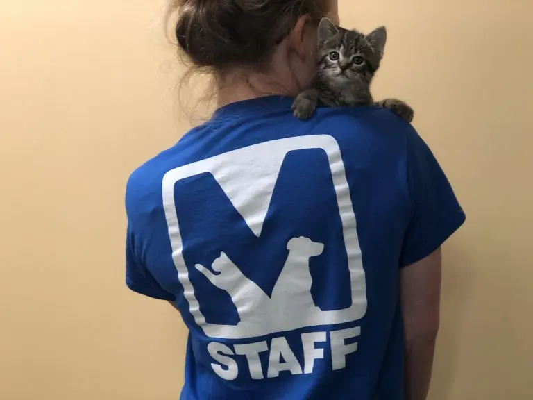 Memphis Animal Services :: Our March Nonprofit of the Month {2022}