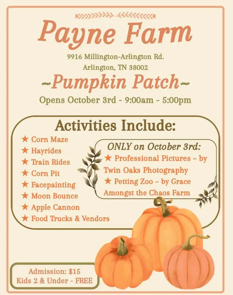 Payne farm pumpkin patch