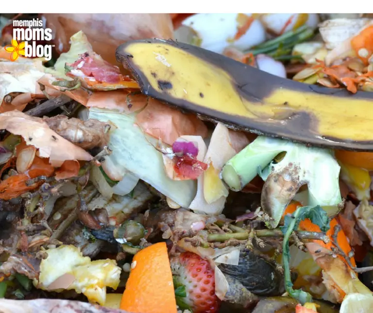 The Lazy Mom’s Intro to Composting (with DIY tutorial.)
