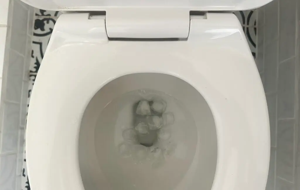 ice cubes in the toilet 
