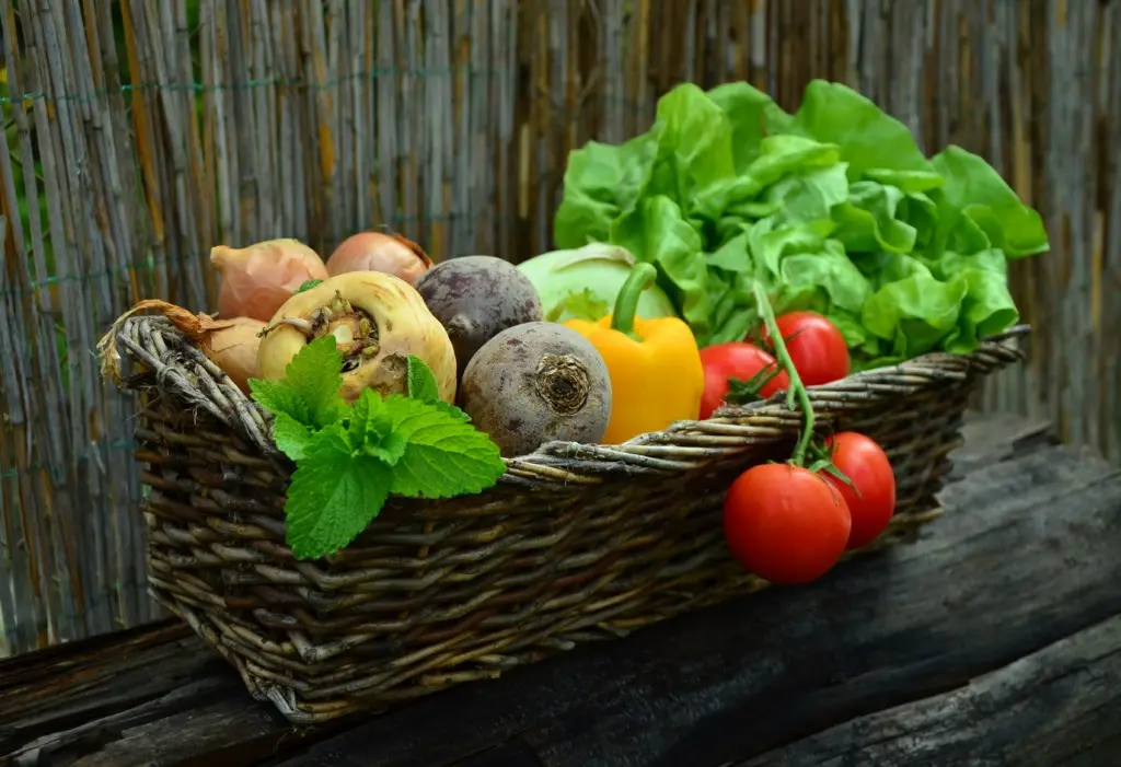 vegetables from a garden