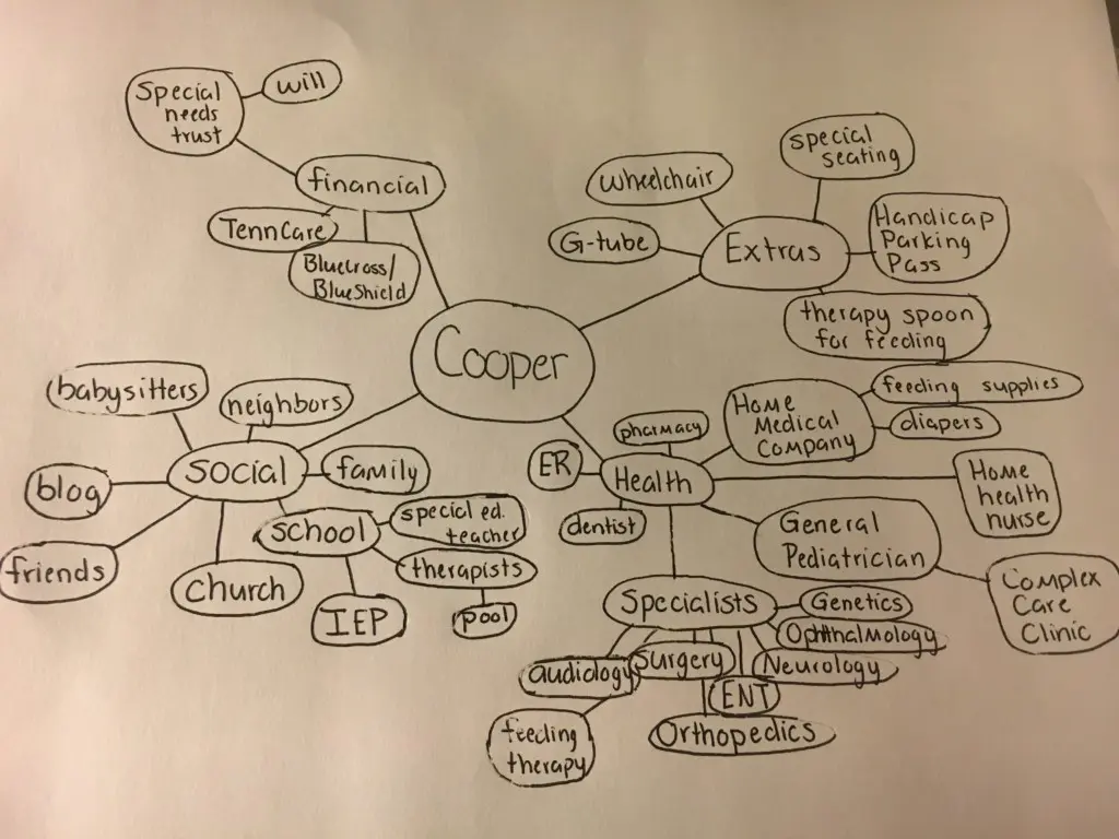 Care map