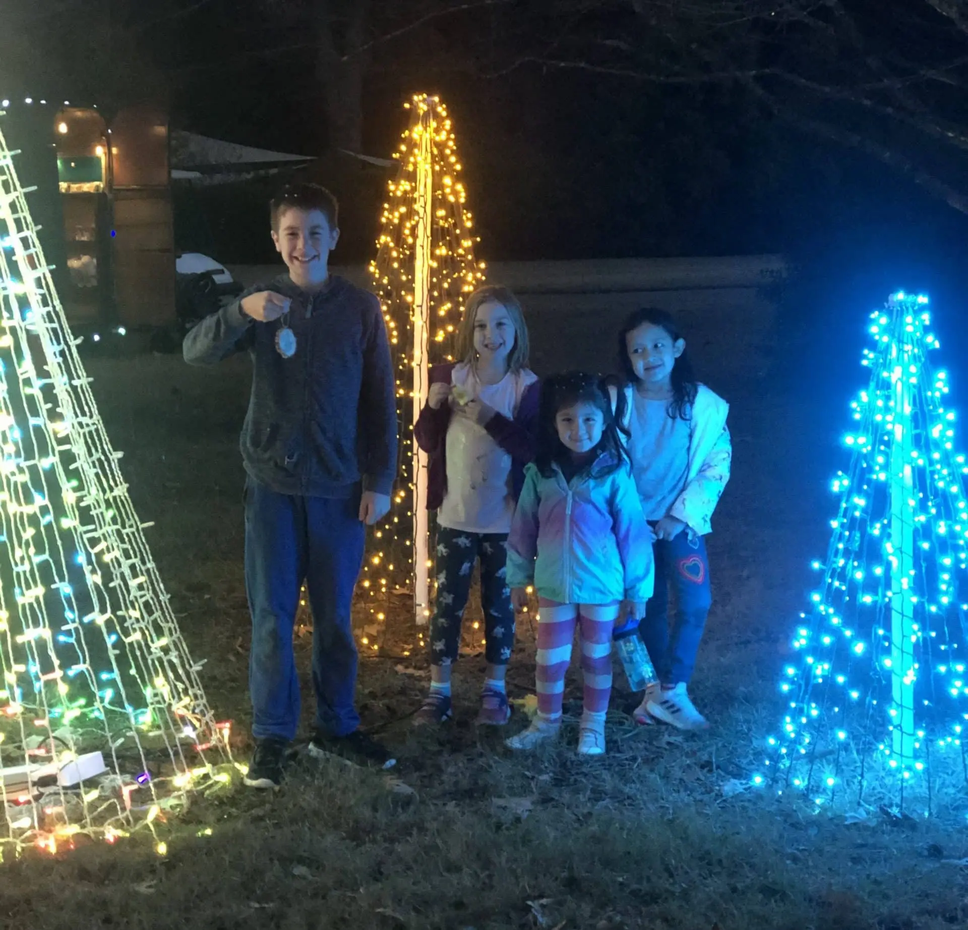 Holiday Wonders Christmas lights
