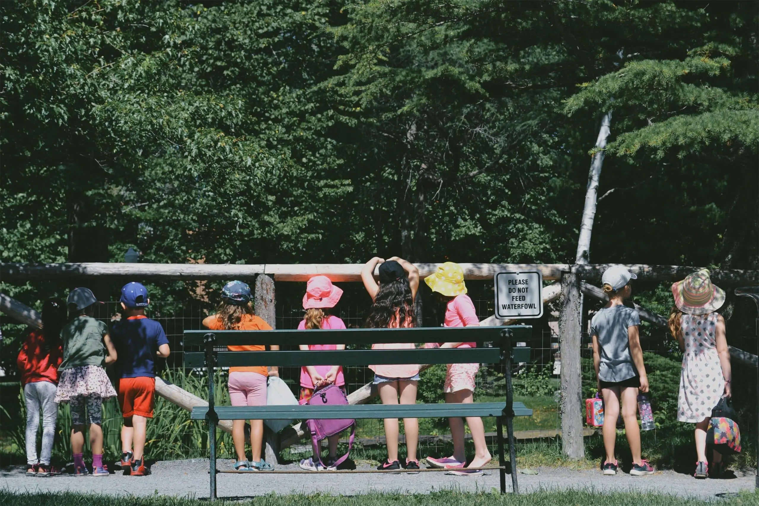 kids on a field trip