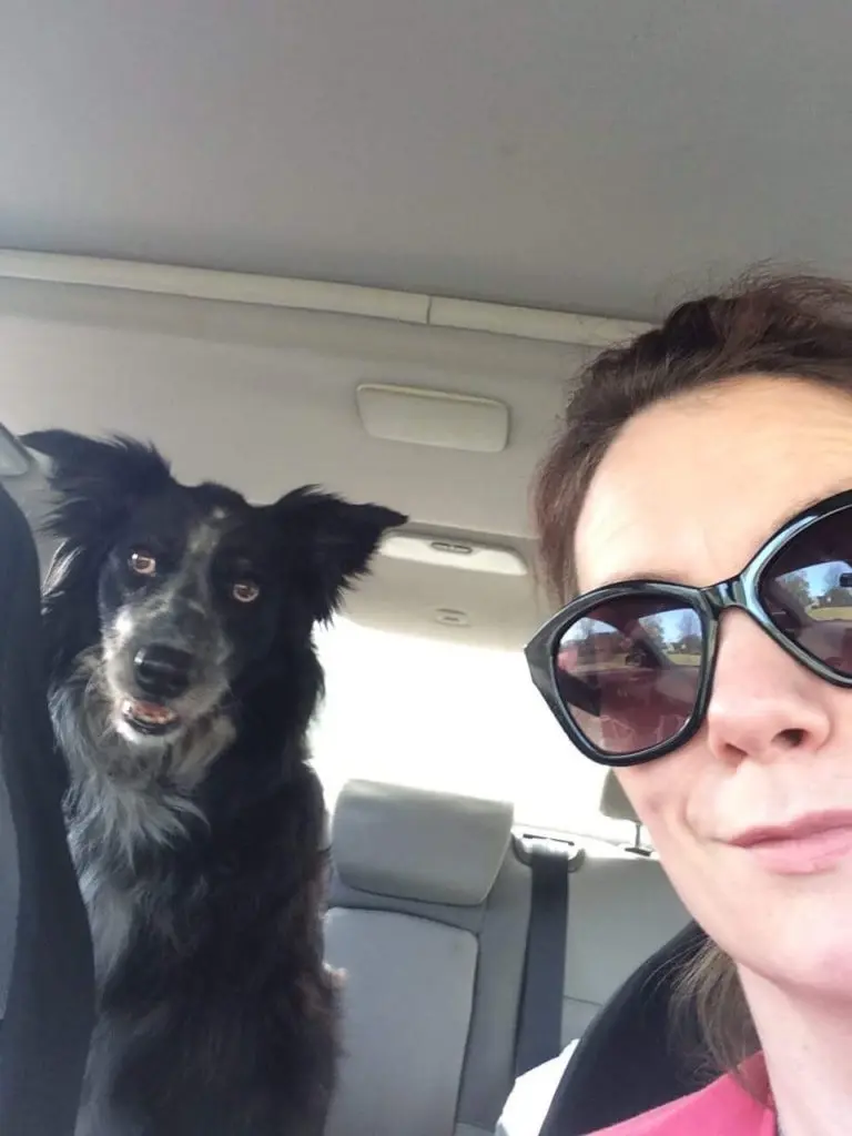 We Lost Our Dog:: Teaching Children to Grieve