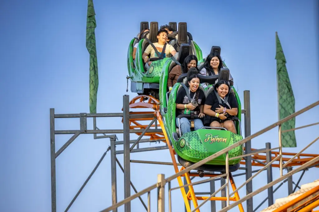 roller coaster