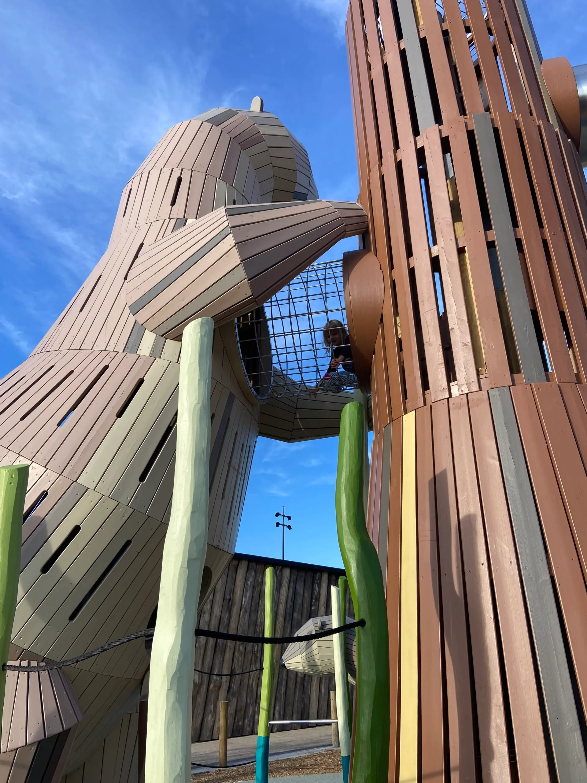 playground structure at Tom Lee Park