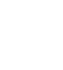 automotive 1